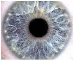 Linsestyrken angis ofte i dioptre, d=/f, der f er gitt i meter. Øyelinsen er vanligvis 67 d (/.5 0-2 67), hvorav hornhinna (cornea) står for 45 d.