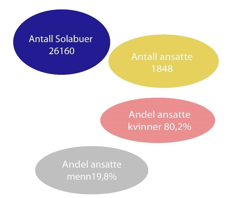 7 Sola i