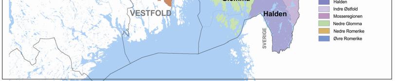 Faggrupper: Osloregionen har etablert faggrupper innen prioriterte satsingsområder.