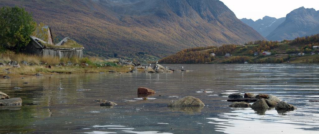 Havstrand I utkast til kommunedelplan for Ramfjord beskrives havstrandforekomsten slik: "I DN Håndbok nr 13 Biologisk mangfold er havstrand nevnt som en prioritert naturtype i forbindelse med vern av