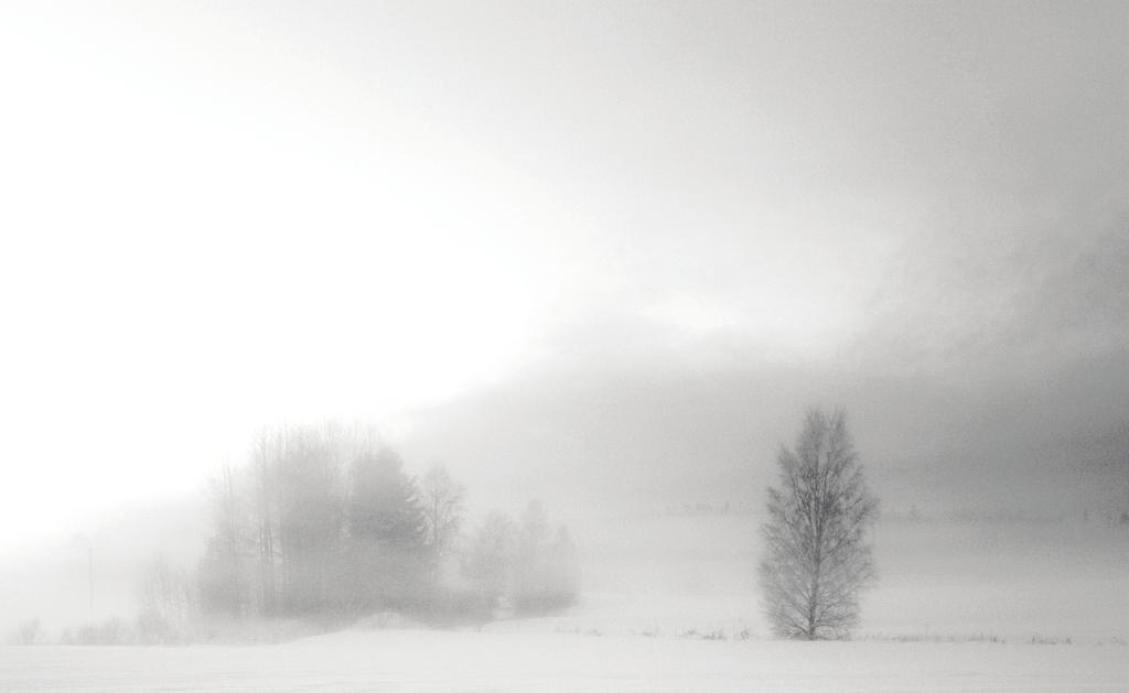 AKTUELT Diettkort som hjelpemiddel ved bestilling av mat Når matallergikere skal spise ute, er det vanlig å opplyse om allergier ved bestillingen.