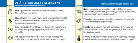 Kap 2. Prosjektgjennomføring/Metode Selve gjennomføringen Prosjektet bestod av en prosjektgruppe i tillegg til en ressursgruppe og en testgruppe.