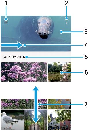 Bilder og videoer i Album Vise bilder og videoer Bruk albumappen til å vise bilder og spille av videoer som du har spilt inn med kameraet, eller for å vise lignende innhold som er lagret på enheten.