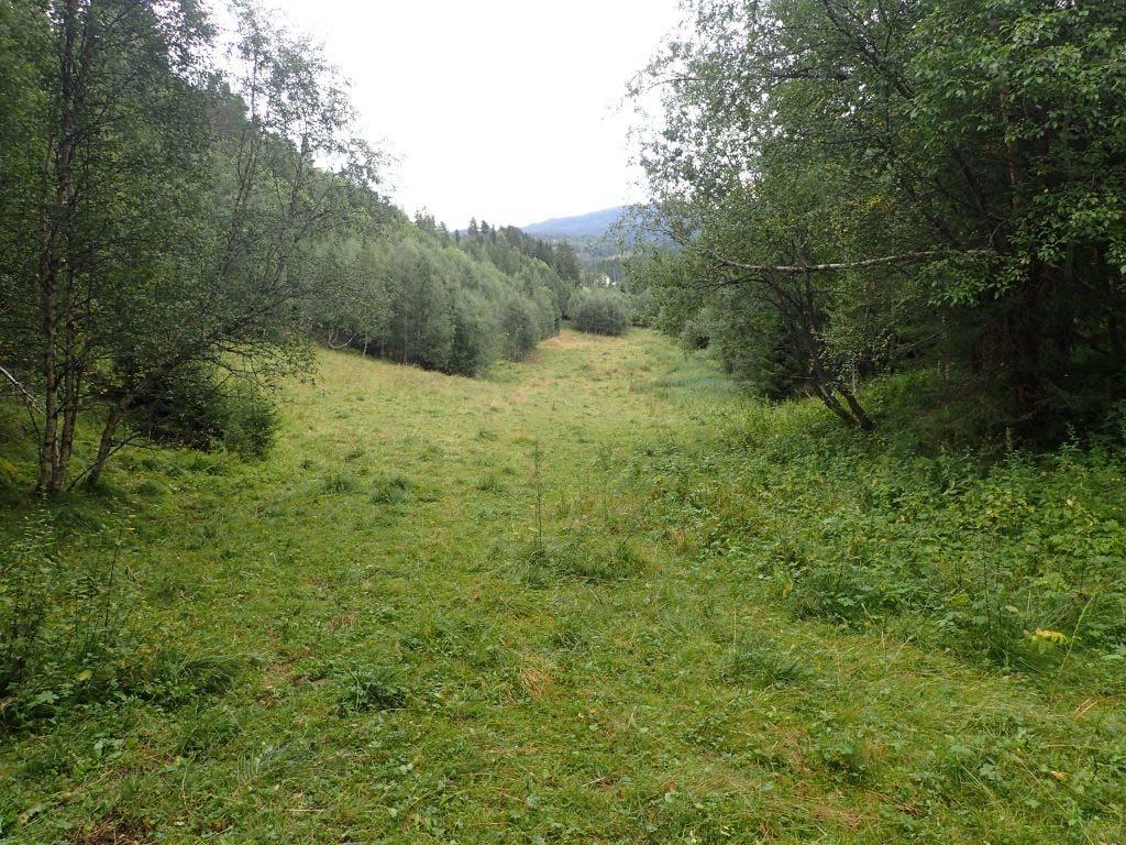 nordover. Sett fra øst mot nord vest. Foto: Synnøve Nordal Grenne. 26.08.2016.