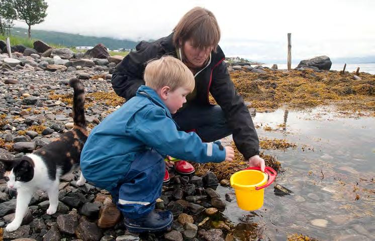 Amfipoder, Arktis og Tromsø Museum Anne Helene Tandberg og Wim Vader De fleste har vel vært nede i fjæra med familien og snudd på steinene i håp om å fange fisk eller krabber.