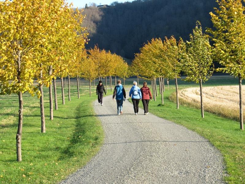 2.4 P4: Ledelse/sekretariat/samarbeid Mål (Uendret): Trondheimsregionen skal videreutvikles som et effektivt og målrettet samarbeid forankret i kommunens politiske og administrative ledelse, og i