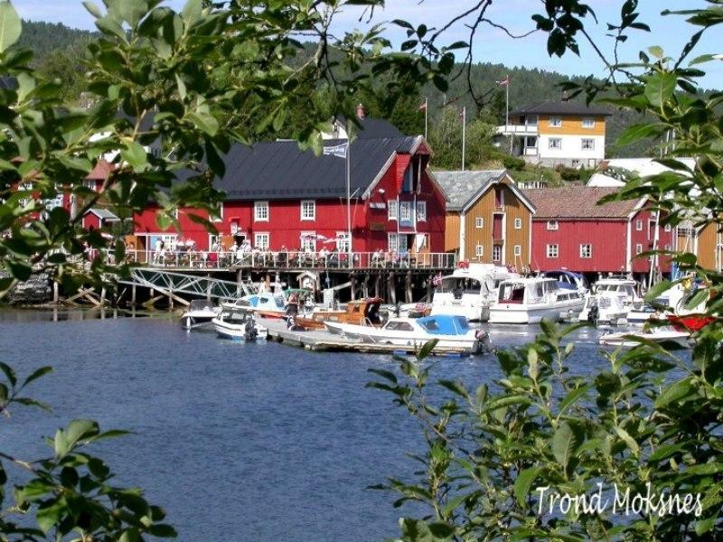 Vi legger til grunn at Værnesregionen, Orkdalssamarbeidet og Fosenregionen er etablerte tjenestesamarbeidsområder.