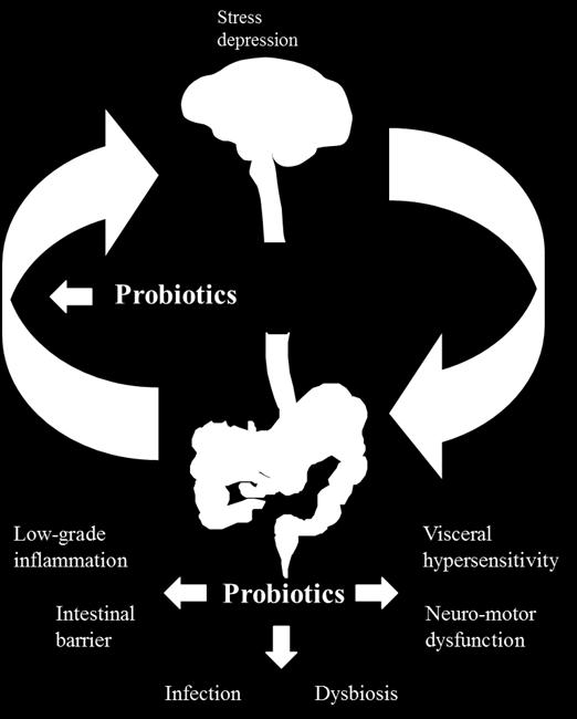 Probiotica