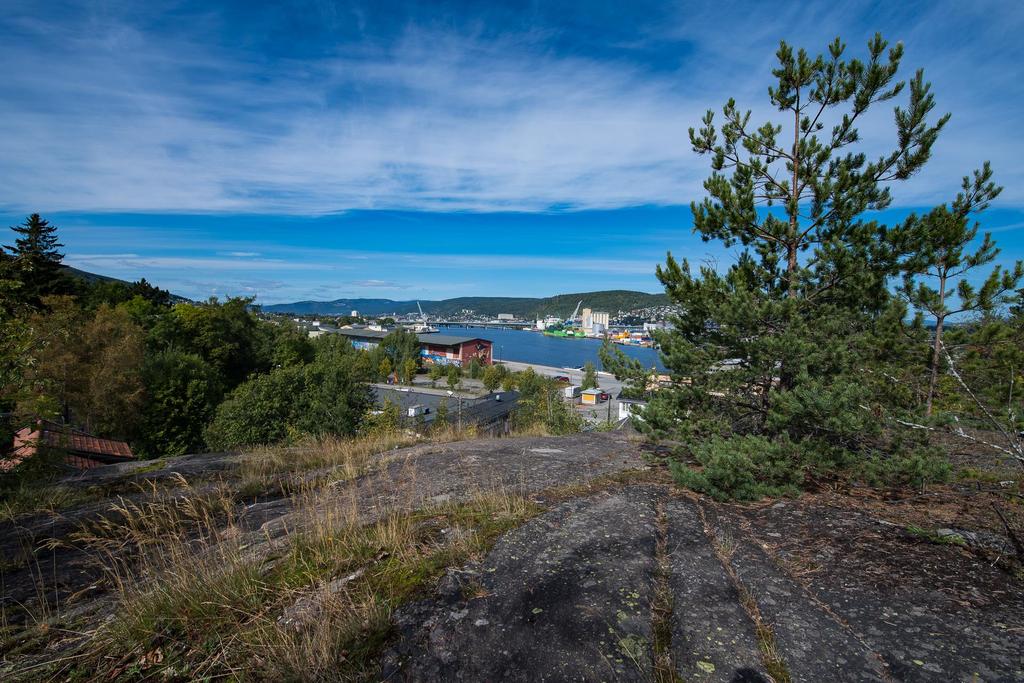 Prosjektplaner Tangen tilfluktsrom/ Hollenderkollen Etablere selskap med NBBO og UCL Starte detaljregulering for boliger Eiendomsverdi ca.