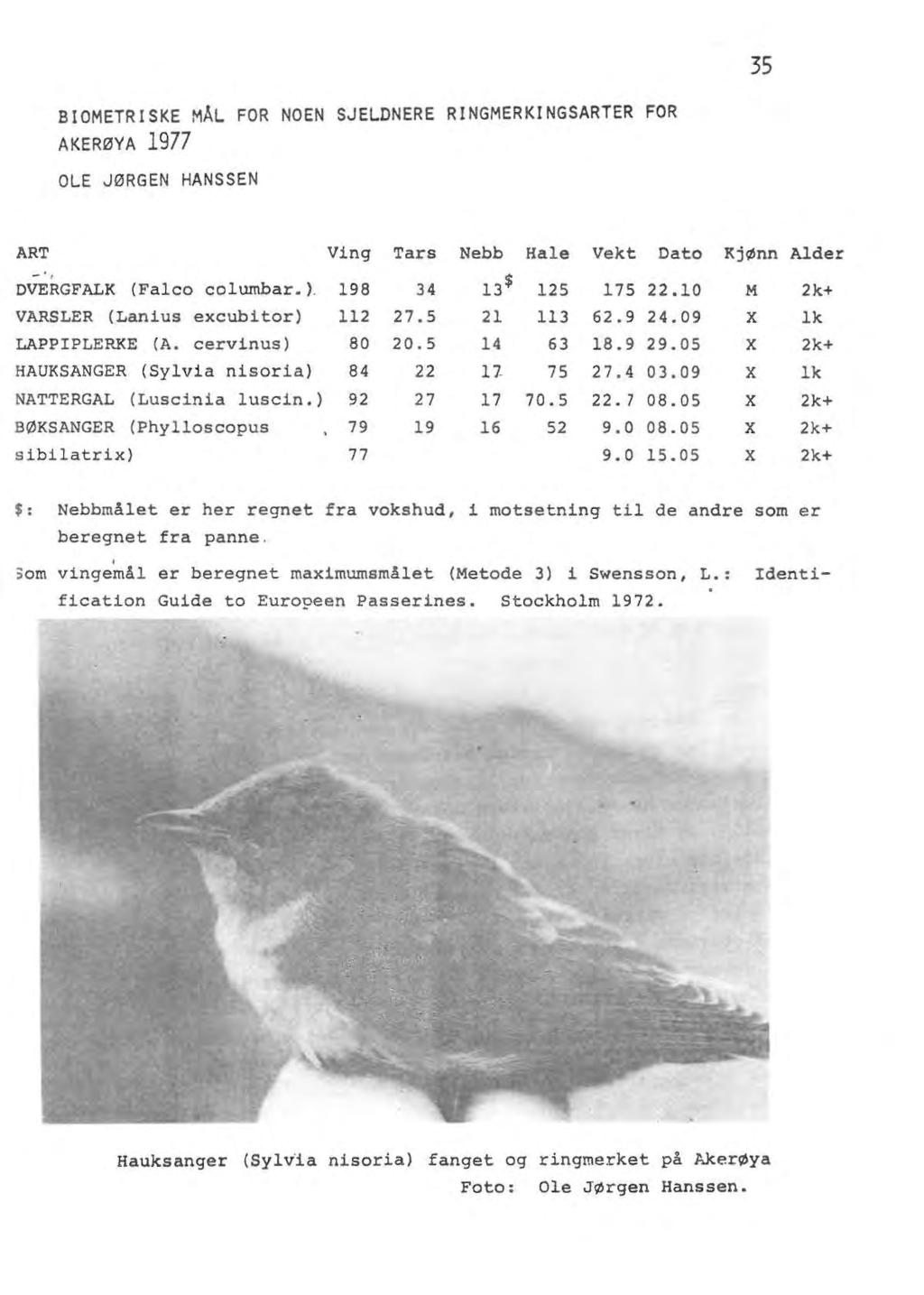 35 BIOMETRISKE MÅL FOR NOEN SJELDNERE RINGMERKINGSARTER FOR AKERØYA 1977 OLE JØRGEN HANSSEN ART Ving Tars Nebb Hale Vekt Dato -, DVERGFALK (Falco columbar. ). 198 34 13$ 125 175 22.