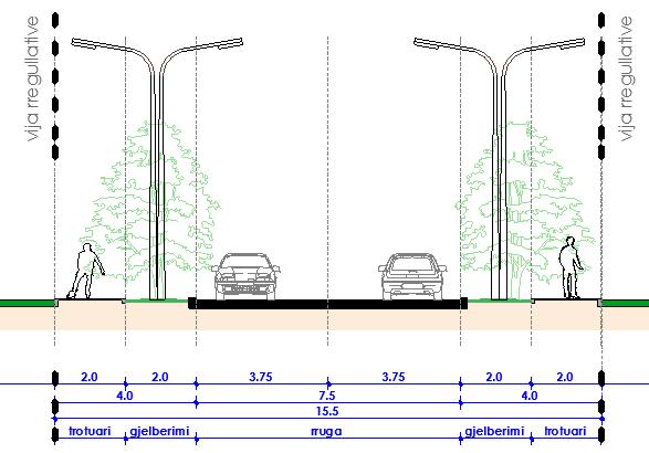 Fig. 19 Profili i rrugës kategoria II Kategoria III