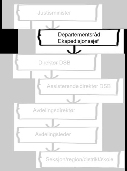 Ledelseskrav til direktør DSB Øke DSBs