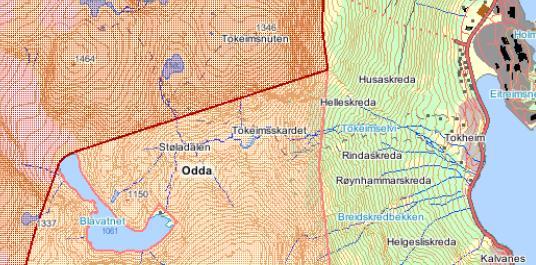 VERDIVURDERING KUNNSKAPSSTATUS FOR BIOLOGISK MANGFOLD OG NATURVERN Kunnskapen om biologisk mangfold i influensområdet var fra før mangelfull.