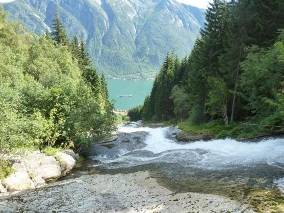 Siden Tokheimselva domineres av smeltevann og har svært lave temperaturer langt utover sommeren, blir fiskeproduksjonen liten, smoltproduksjonen tilnærmet ubetydelig og utelukkende av sjøørret.