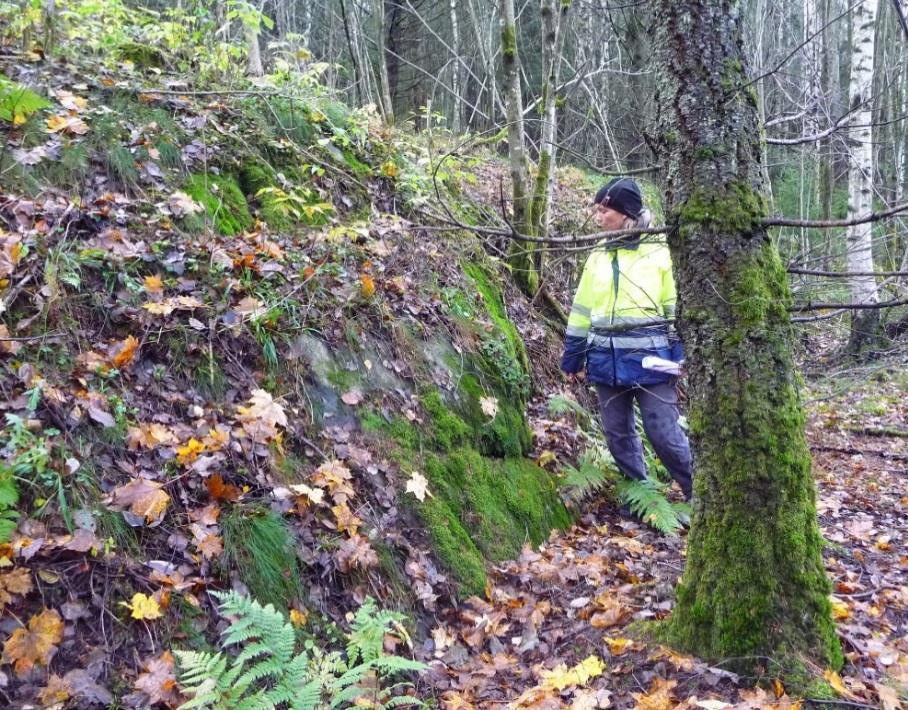 UTREDNING AV NATURMANGFOLD 15 5.2.4 Grinderud Losby Fra skogsdammen følger planlagt gang- og sykkelvei bilveien og går over dyrket mark frem til Morkbråten, profil nr 2530.