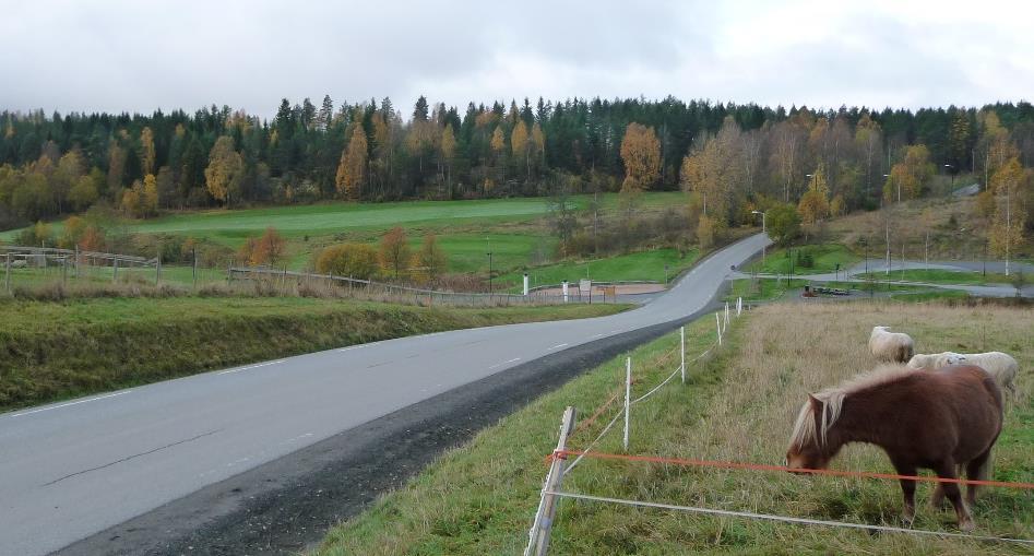 Ved golfbanen er krysses et bekkeløp og det vil bli nærføring til en dam med dunkjevle på sydsiden.