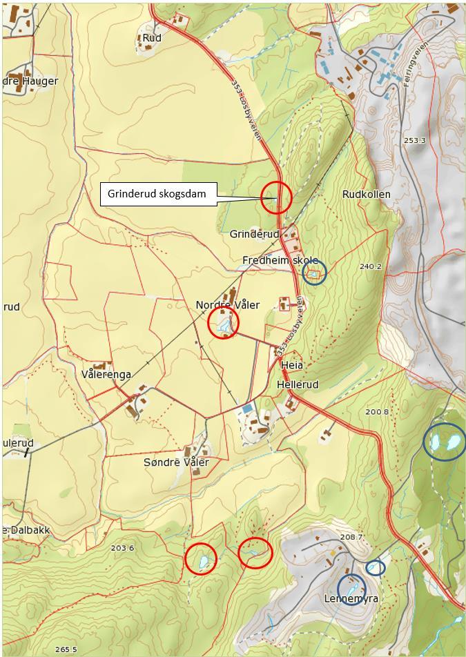 UTREDNING AV NATURMANGFOLD 19 At amfibier av flere arter krysser, kan oppholde seg eller overvintre i og reproduserer innenfor planområdet er godt dokumentert.