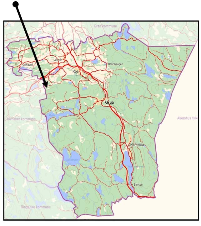 På eiendommen er det i dag 2 våningshus. Vi må ta stilling til om vi skal tillate bolig nr 3 på eiendommen.