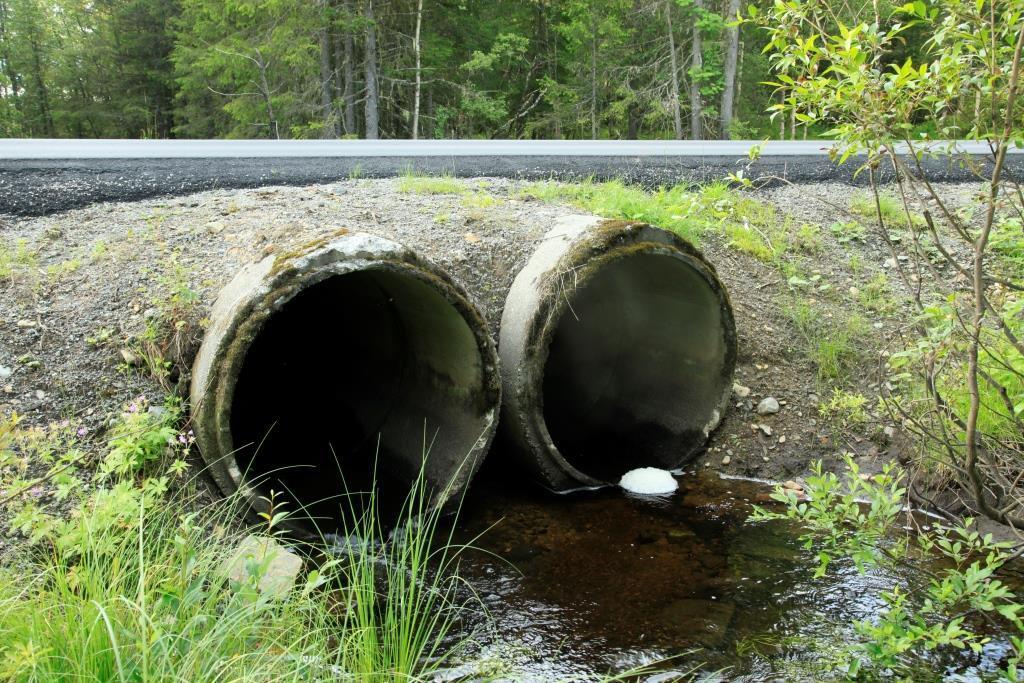 Utløpsbekken fra Langvatnet passerer gjennom en ca. 12 meter lang kulvert under fylkesveg 162.