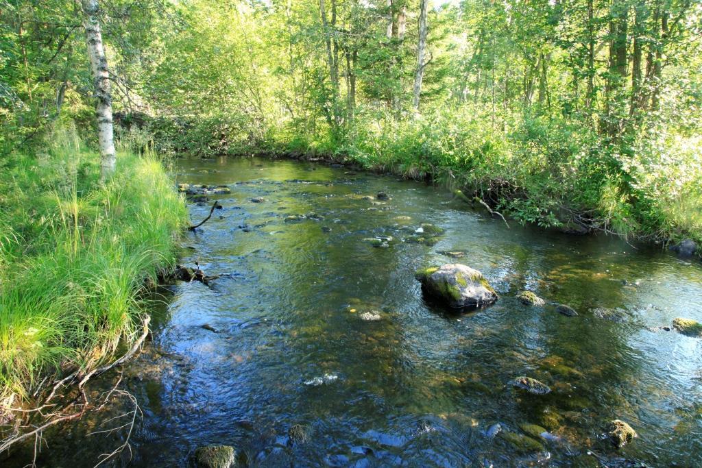 Røstadvatnet har gode gytebekker i Ytterelva og Lundeselva. Her fra Lundeselva, med fine oppvekstområder for ørret. Foto: Geir Høitomt, 21.07.2016. Lunken Beliggenhet og beskrivelse Se kap.