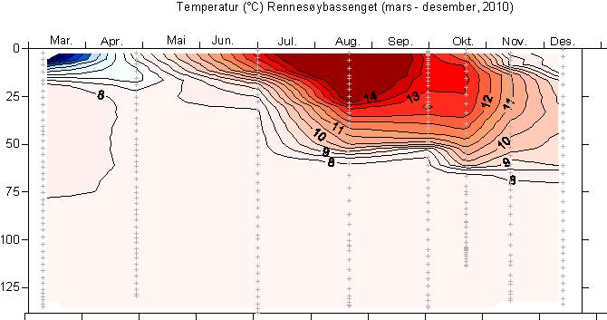 Figur 4. Tidsutvikling i Rennesøybassenget fra mars til desember 2010. Øverst: Temperatur. I midten: Saltholdighet.