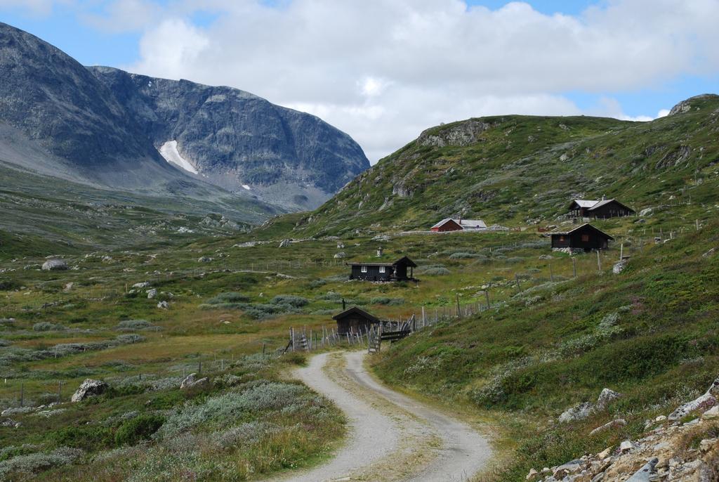 Fjellbygder med stølar,