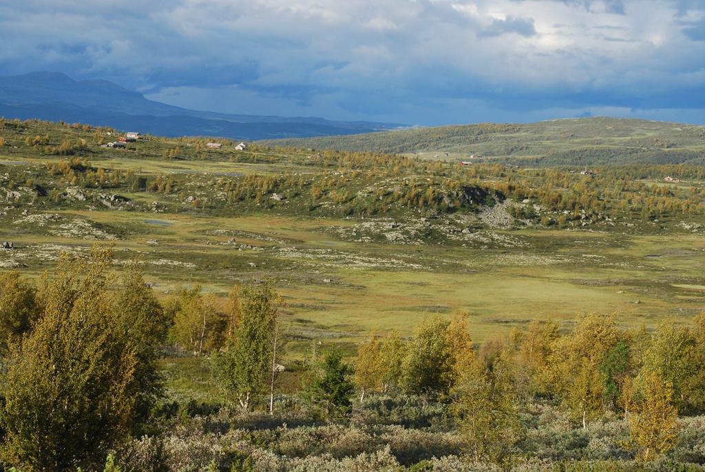 Innholdet i landskapet Reiseliv Samferdsel Villrein Naturgrunnlag