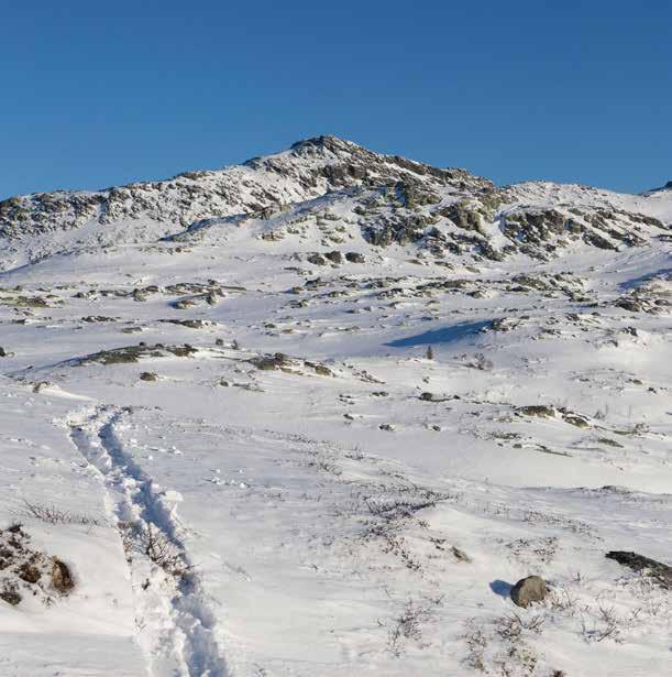 OFF-PISTE Unike toppturmuligheter Ved siden av de ekstrem mulightene på selve Gaustatoppen er de mange fine renner innen stakeavstand i