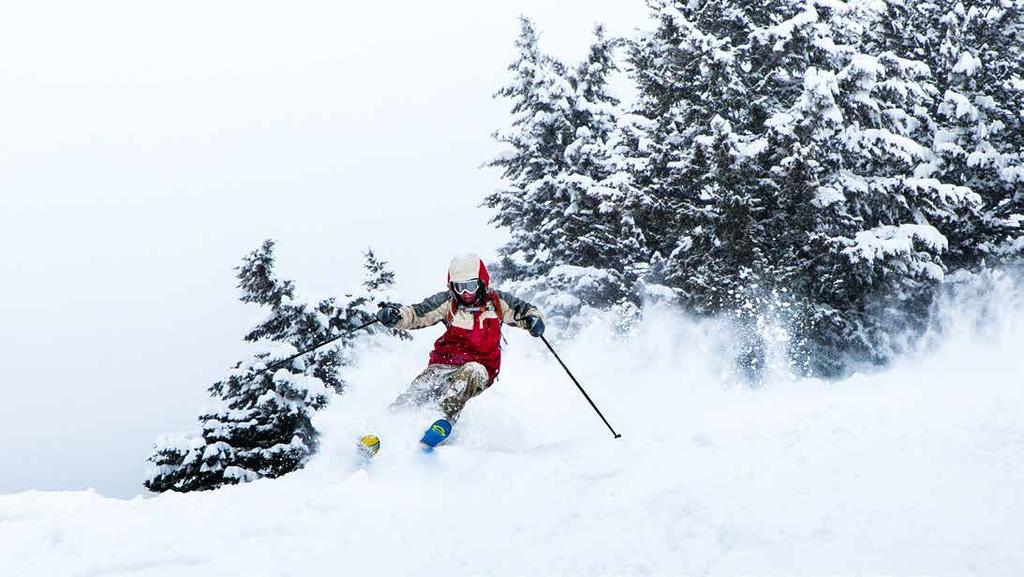 Trond Stegarud En hyggelig skidestinasjon tilrettelagt for alle nivåer og aldre. Skisenteret har alltid vært kjent for tidlig snø.