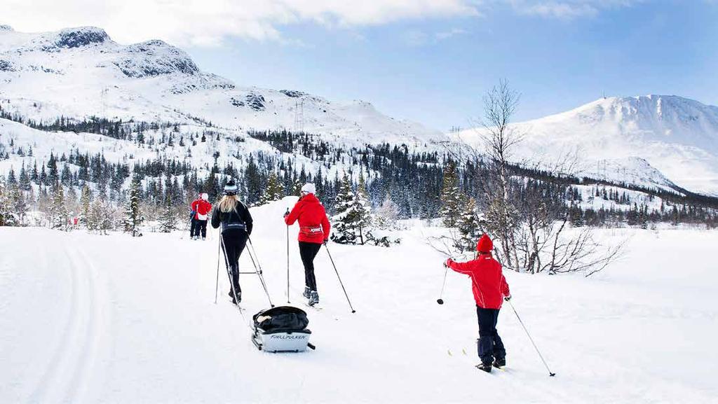 Langrennsløypene på Gaustablikk går i variert terreng, her finner du korte rundløyper, lysløype,