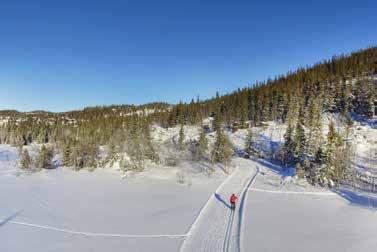 Det er også mulig å ta seg en liten treningstur på kveldstid i den ca 3 km lange lysløypa.