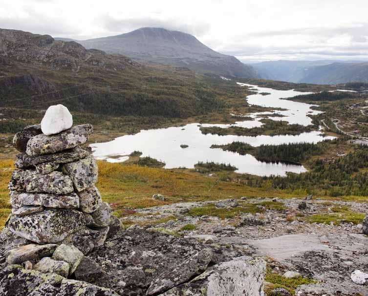 Den lykken du søker bak blånende fjell, kan hende du alltid har eiet den selv Velkommen til fjell og vann VISJON & DRØM Vår tanke rundt planleggingen av Ørnenipa er å presenter