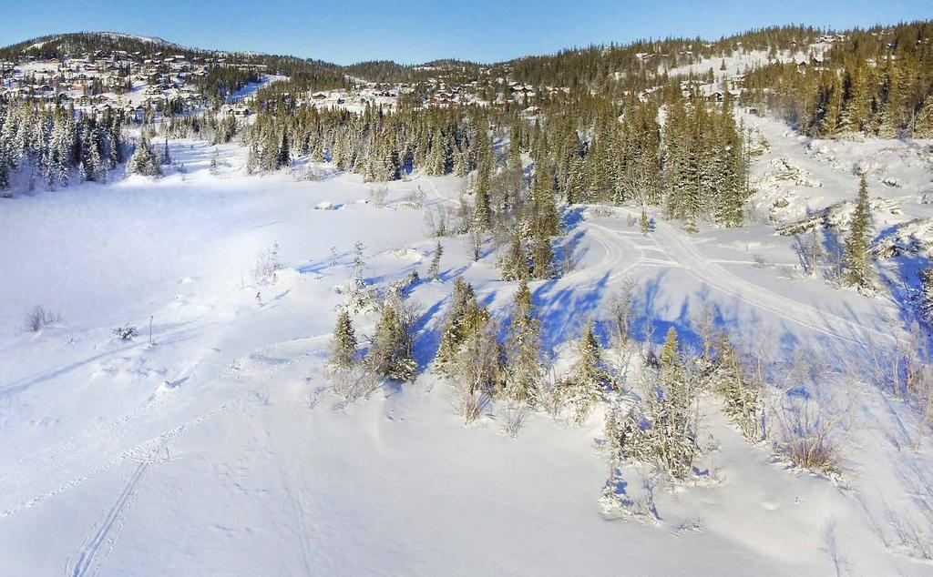 ALPINBAKKE Skisporet går rett