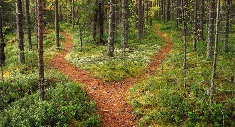 Jeg løper ofte i skogen, og en gang ble jeg stoppet av en familie.