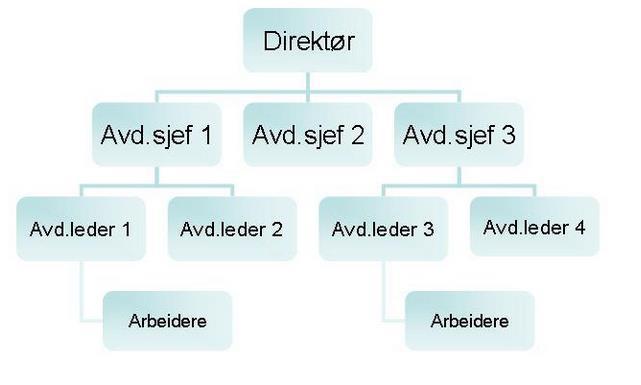 Typisk organisasjonskart Toppledelse Mellomledelse Avdelingsledelse Operasjoner Informasjon