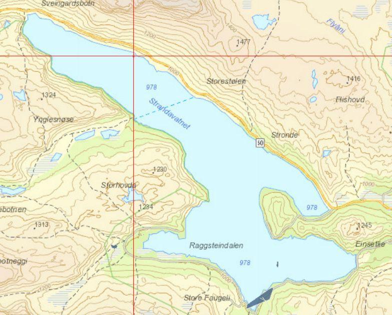 Bakgrunn for synfaringa Den 16.06.