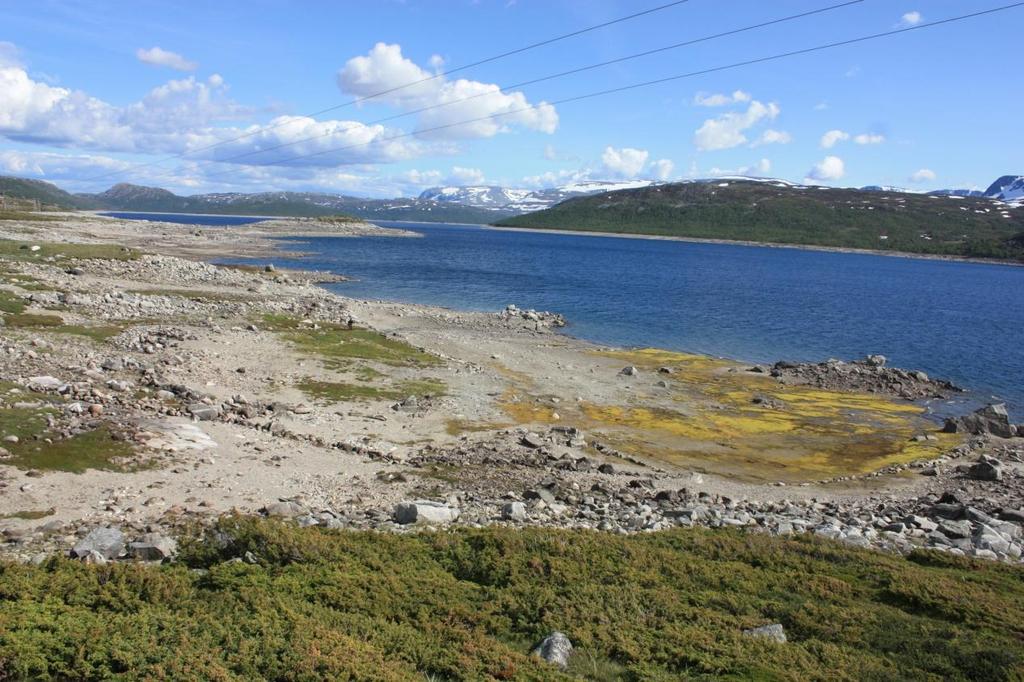 Historikk Ein klar parallell til tufta på Øsmundset er utgravingane og dokumenteringa av tuftene på Langegard i 1986-87 (jamfør, Far etter folk i Hallingdals. 62-68 Inge Lindblom).