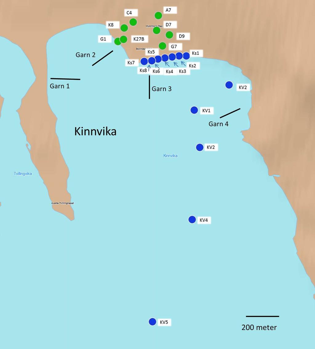 Figur 5. Kart som viser plassering av stasjoner for jord- og sedimentprøver, samt plassering av garnlenker for innsamling av fisk, Kinnvika, august 2011.