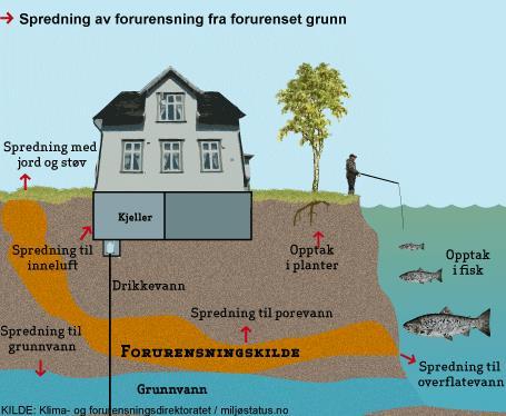 grunnvann Løsmasser og grunnvann.