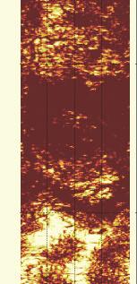 Figurd 16 viser en "Rock Mass Condition Graph" av BIPS data fra Bh 11, Lutvann. Her vises sprekkefrekvens pr.