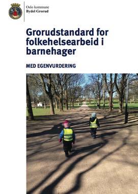 Arbeidets innhold Grorudstandard for folkehelse