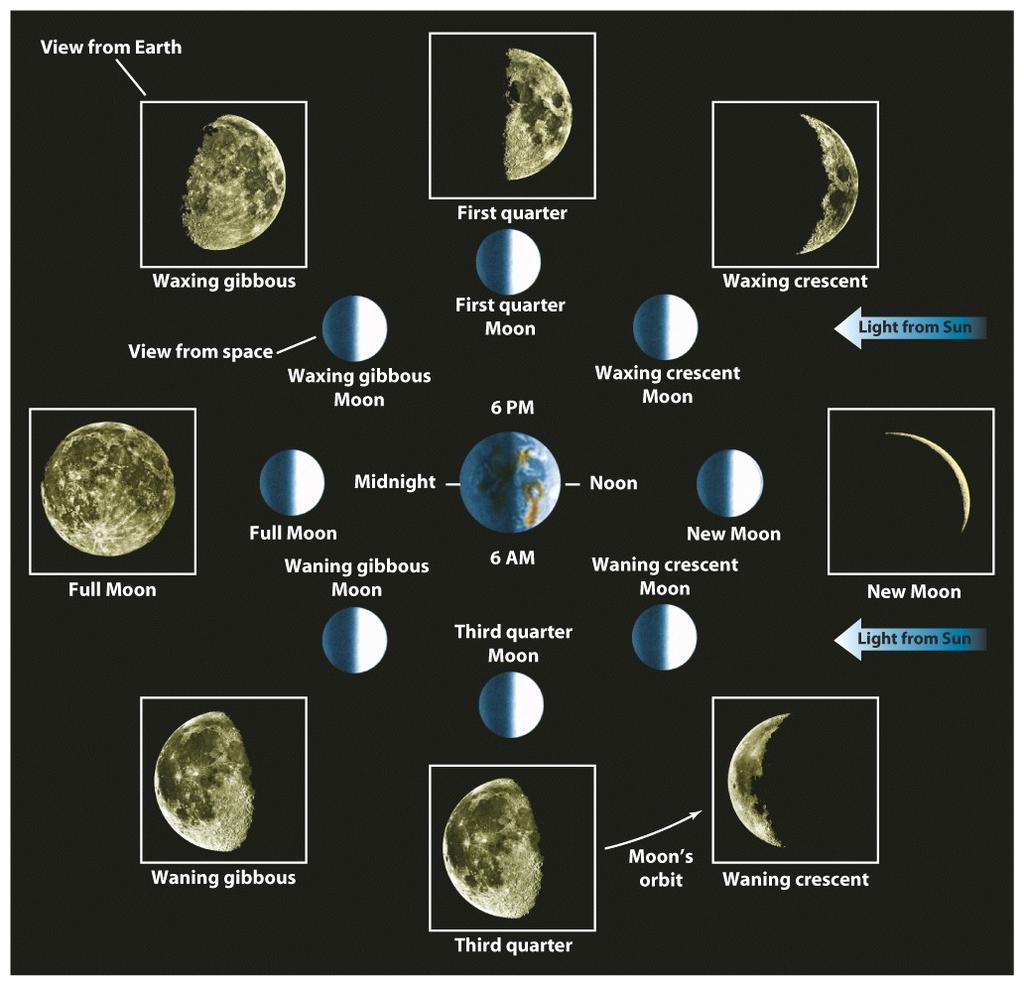 Månefaser Måneformørkelser Totale