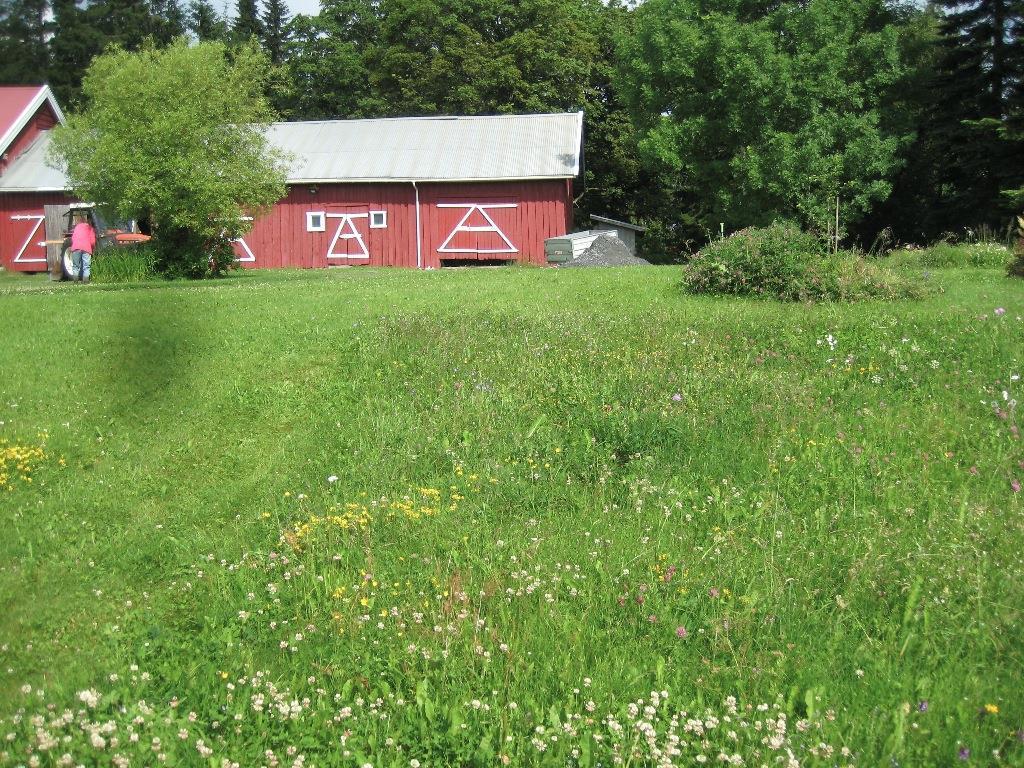 Østlandet Skjøtselplan for Hjelpstein slåttemark, Vestre Toten kommune, Oppland fylke. OVERSIKTSBILDE fra lokalitet Figur 1.