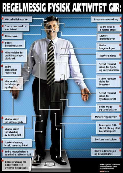 Regelmessig fysisk aktivitet og god fysisk form Fysisk aktive er mindre utsatt for fysiske og psykiske lidelser enn fysisk inaktive Regelmessig fysisk aktivitet forebygger mot utvikling av