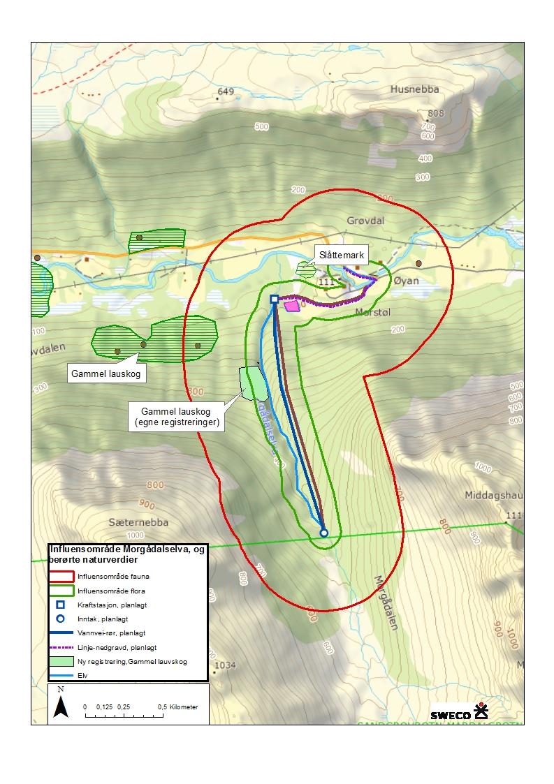 Morgådalselva Kart over registrerte naturverdier, sett i forhold til influensområde vist i figur 9. Figur 9.