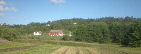 Bilde 15. Inntrykk fra høstgjødslingsfeltet i fjellrapp på Landvik, 17.september 2007. Foto: Trygve S. Aamlid. Tabell 18.