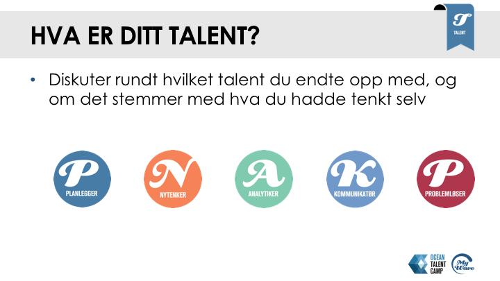 Dette er en leken og uformell test som bidrar til å gi elevene en pekepinn på hva de er gode på, og hvilke preferanser de har. 1.