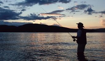 94 Kapittel 4 C på fisketur Opp ga ve C6 Vo ka bu lar Hva er det mot sat te av Bruk ordbok. a Han er sul ten. b Væ ret er fint. Han er Væ ret er c Fis ken er god. Fis ken er d Han kom tidlig.