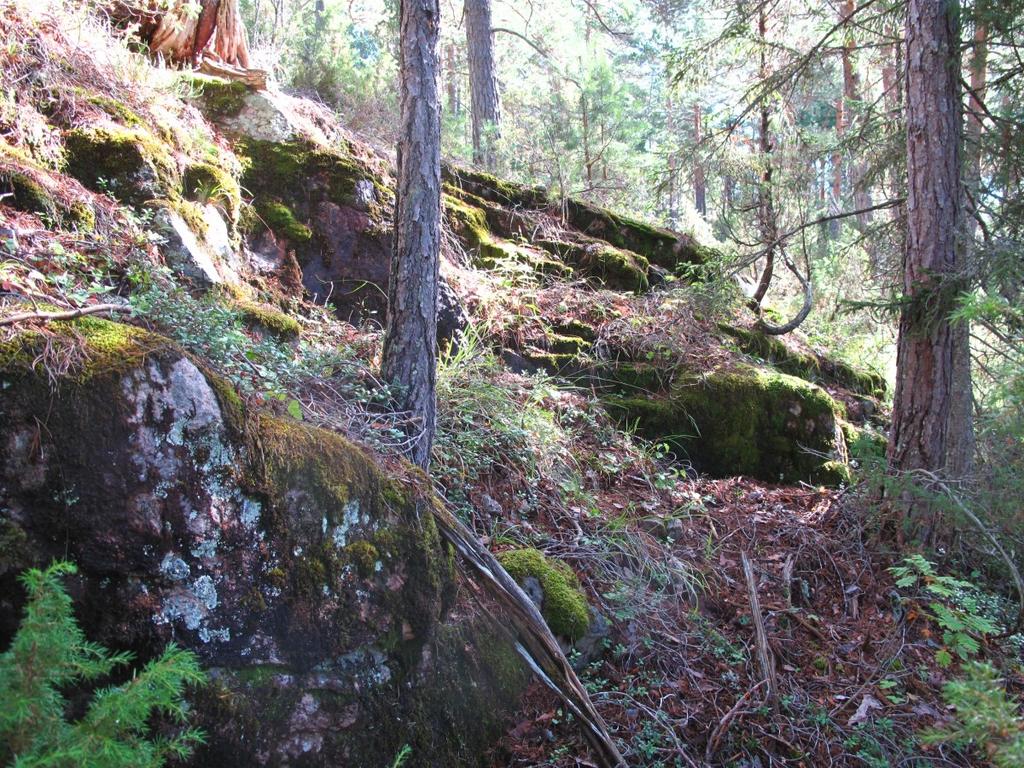 Bilder fra området Grasfjellet Nokså