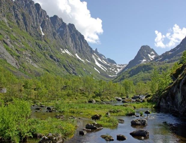 Andmyran, med mer enn 100 km 2 sammenhengende myr, er det største myrarealet i Nord-Europa. Andøya har også fjellrekker som er innskåret av djupe botner.